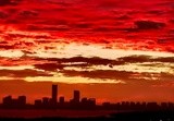 by Wayne Combridge 