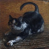by Cara Bevan