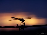 by Sharron Lee