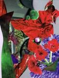 by Collage Art