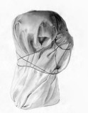 by Nico Wirth