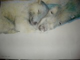 by iuliana sava