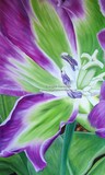 by Angela Stanbridge