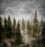 by Igor Mugerza