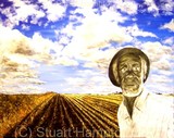 by stuart hampton