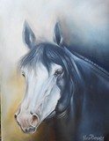 by Nora Begona