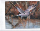 by Joan  Wulff