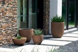 by Edgar Poets
