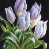 by Debbie Shirley