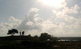 by vijay kumar