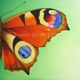 by Tracey Jayne Thomas
