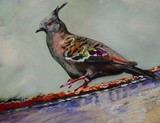 by Shirley Charlton