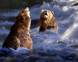 by Bill Stephens