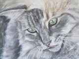 by Wendy Law