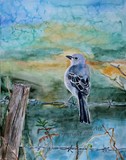 by Sharla Derry