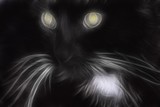 by Holly DeLaughter