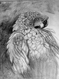 by Kalai S