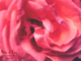 by Sybille Sterk