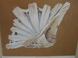 by Catriona Parker