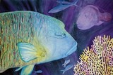 by Julie Remillard