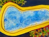 by mary ann coonrod