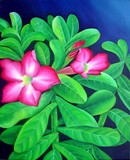 by murali nagapuzha