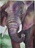 by Rachel Garrity