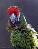 by Linda Becker