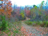 by Skyler Tipton