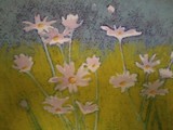 by barbara sheridan