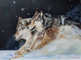 by Brooklyn Hill
