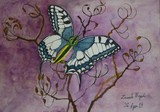by Arnel Zainab