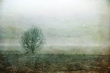by Randi Grace Nilsberg