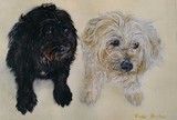 by Trudy Barlow