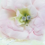 by Michael Trio
