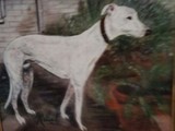 by Dawn Moir-Harris 
