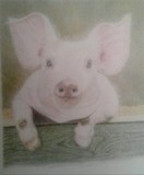 by Sharon Vincent