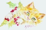 by Edie Schneider