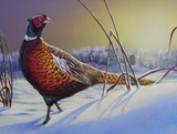 by Frederick Short