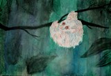 by Danielle Heise