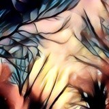 by Colton Kizzire