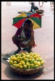 by taniya varshney