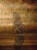 by Gayle Taylor
