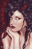 by Rebecca Sinz