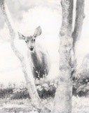 by Kimberly Tilley