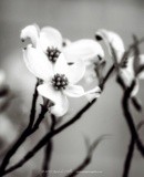 by Kimberly Tilley