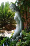 by Linda Eades Blackburn