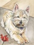 by Christine Hilditch