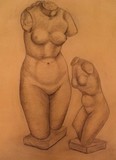 by Perica Ordic