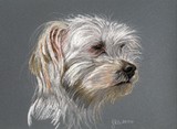 by Jennifer Redstreake